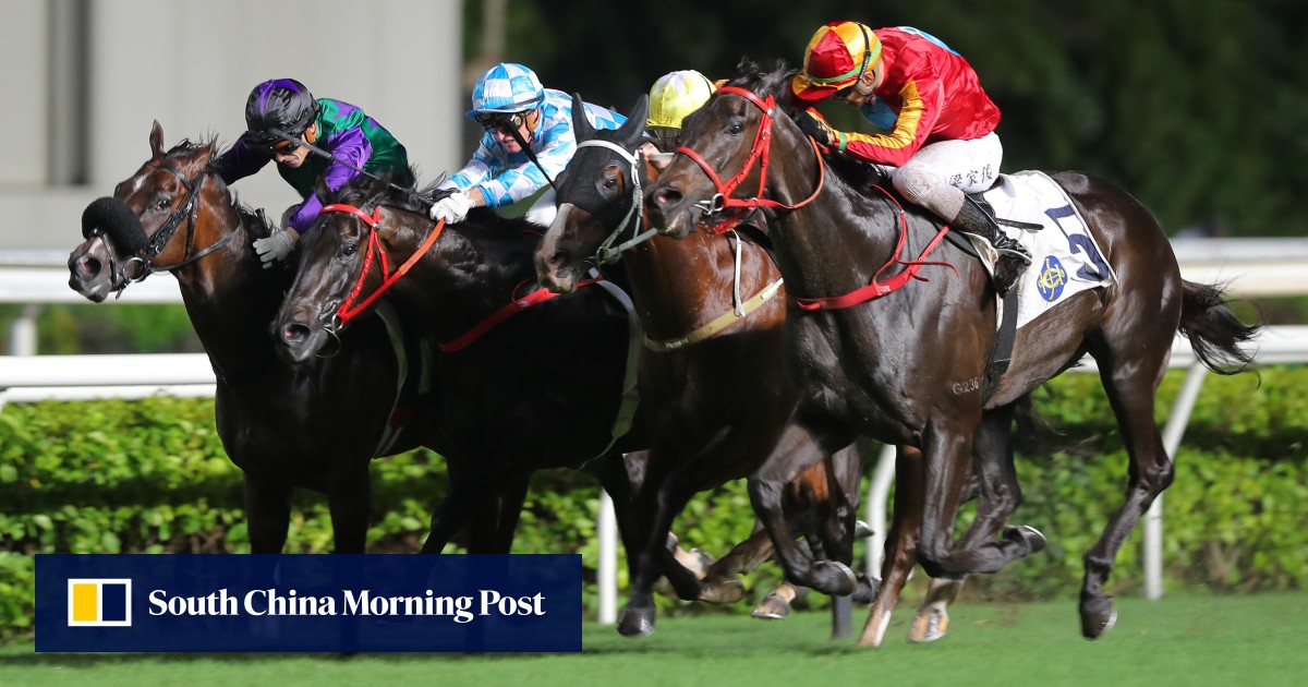 Jockey Club posts turnover record for third straight year, with punters