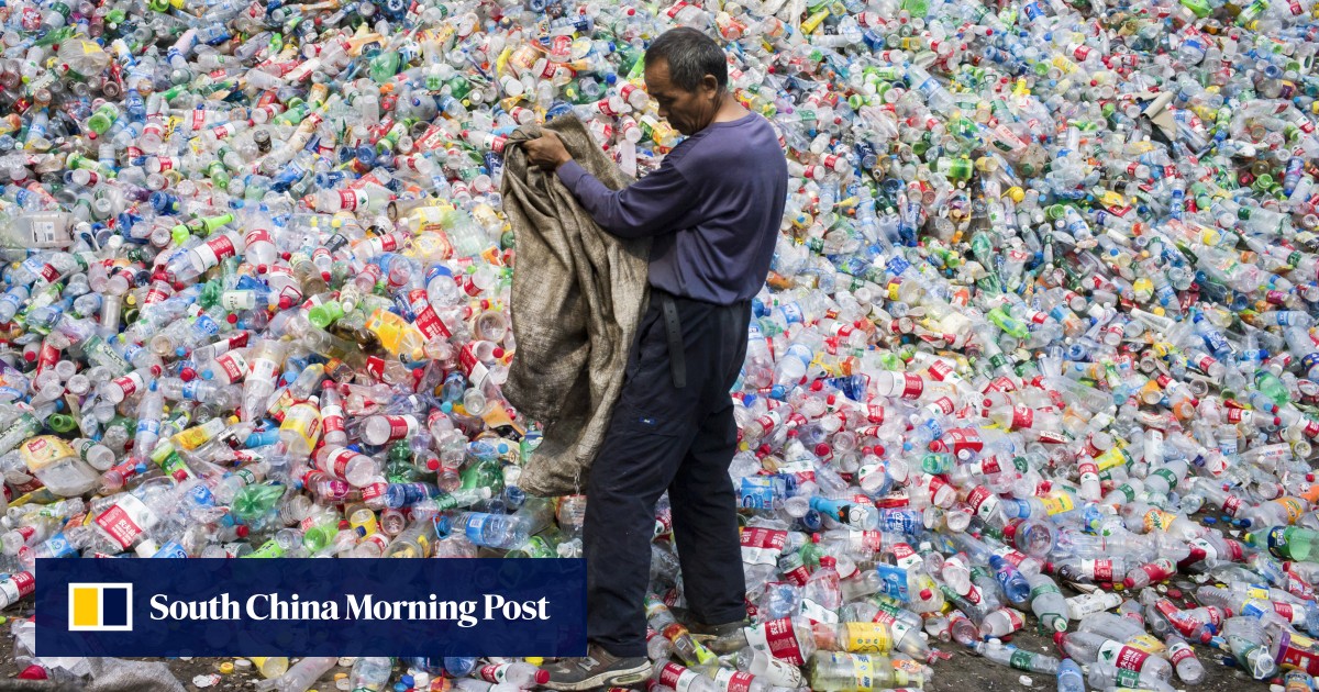 Chinese scientists claim lead in race for viable biodegradable plastics