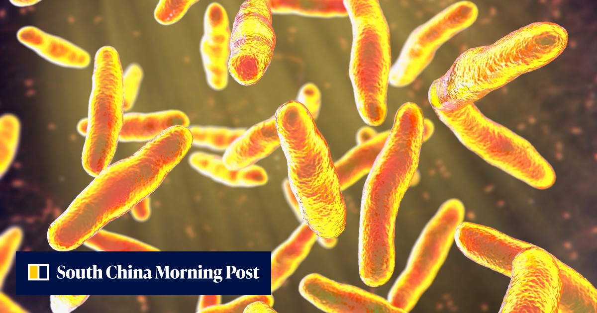 Busting Bacteria China scientists make bacteria-beating bandage to outsmart superbugs ...