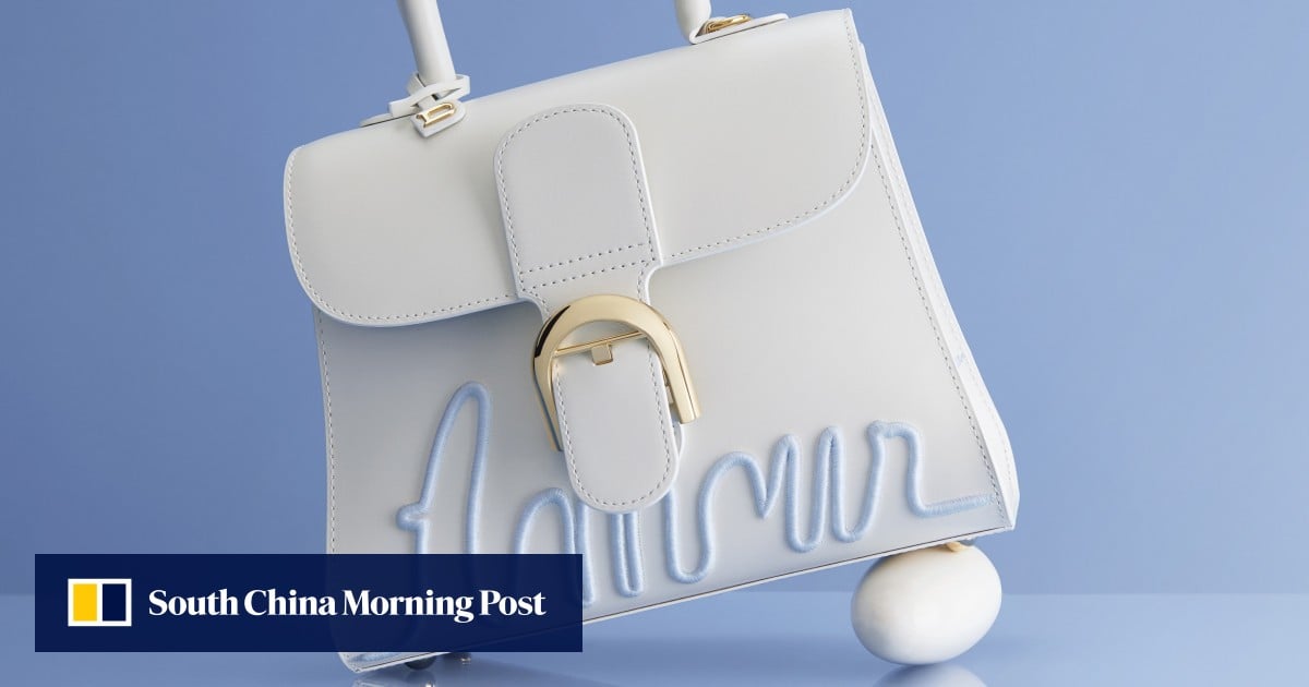 Delvaux brillant bag store