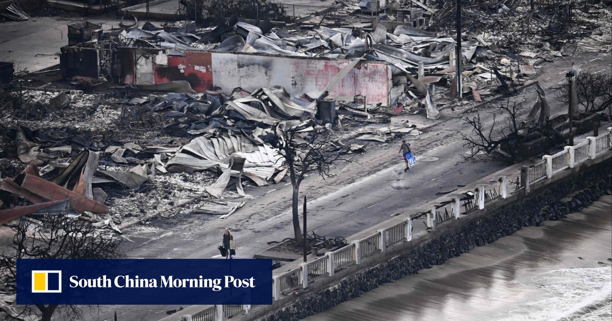 Überlebende des Feuers auf Maui beschreiben nächtliche Plünderungen ...
