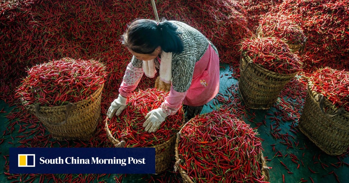 Chinas BIP: Jahresprognosen liegen aufgrund schwacher Exporte und Immobilienkrise unter Pekings Ziel Chinas BIP: Jahresprognosen liegen aufgrund schwacher Exporte und Immobilienkrise unter Pekings Ziel