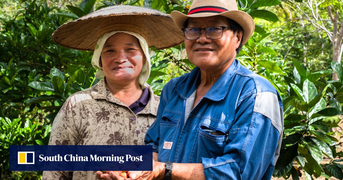 A game changer? Coffee farmers in Malaysia hope to plant the seeds of tourism in a remote corner of Sarawak, Borneo