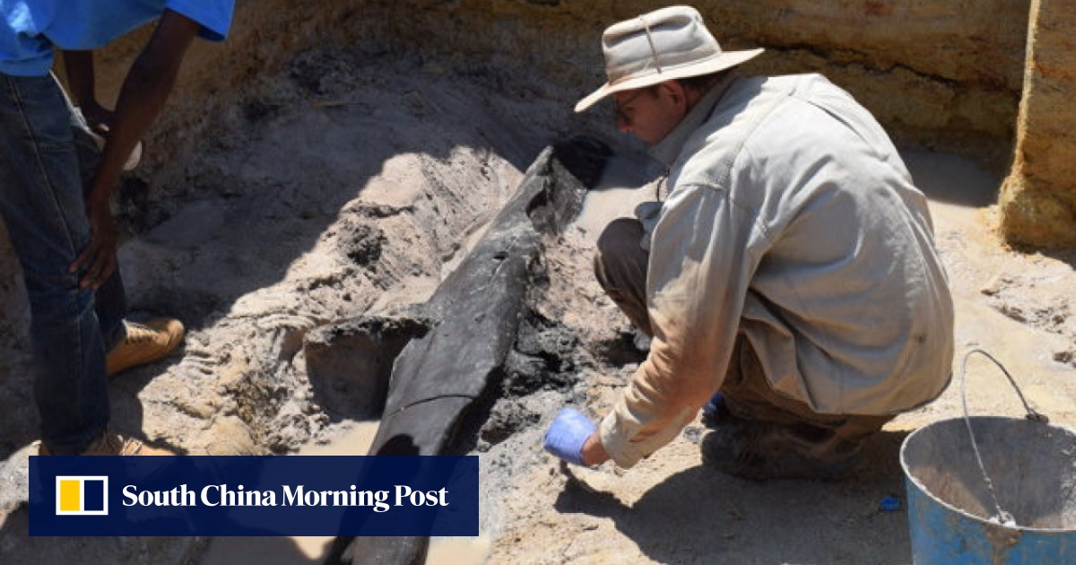 archaeologists-unearth-world-s-oldest-wooden-structure-made-at-least