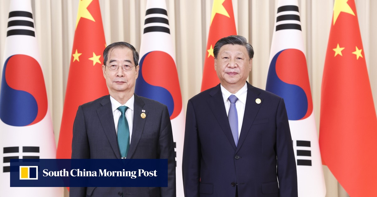 China and South Korea should ‘meet each other halfway’: Xi Jinping