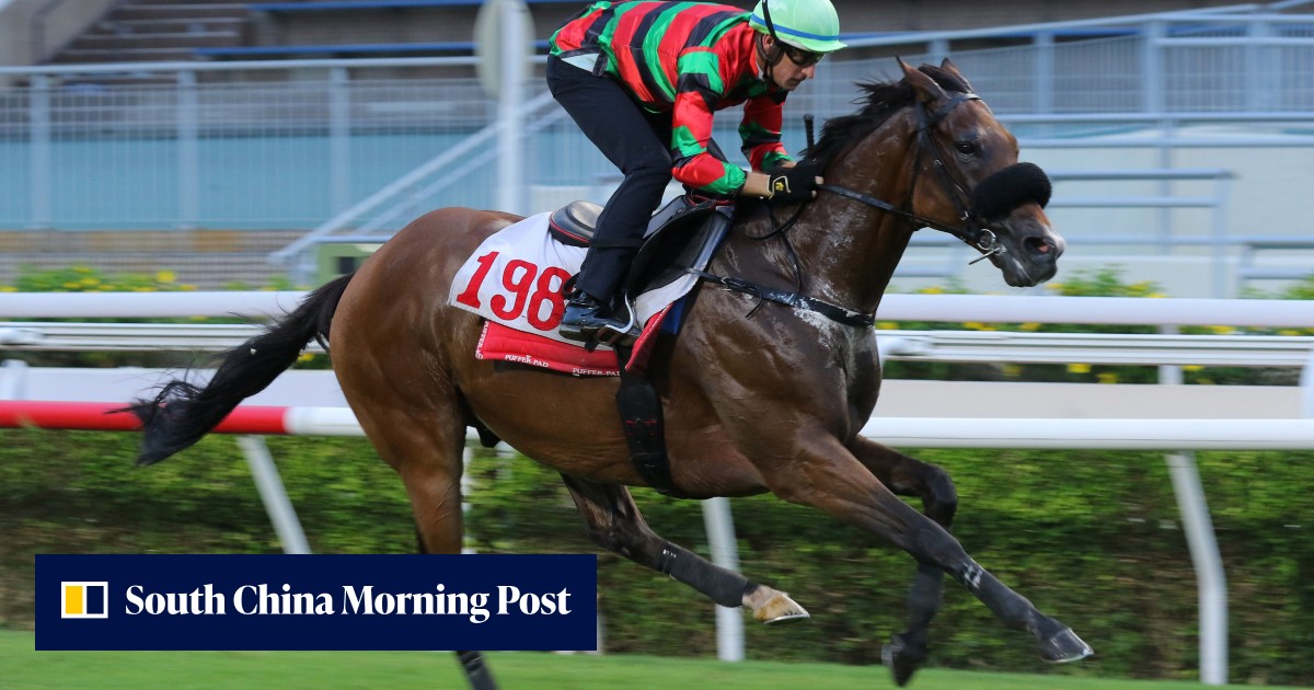 Russian Emperor makes trial return as connections aim at Hong Kong ...