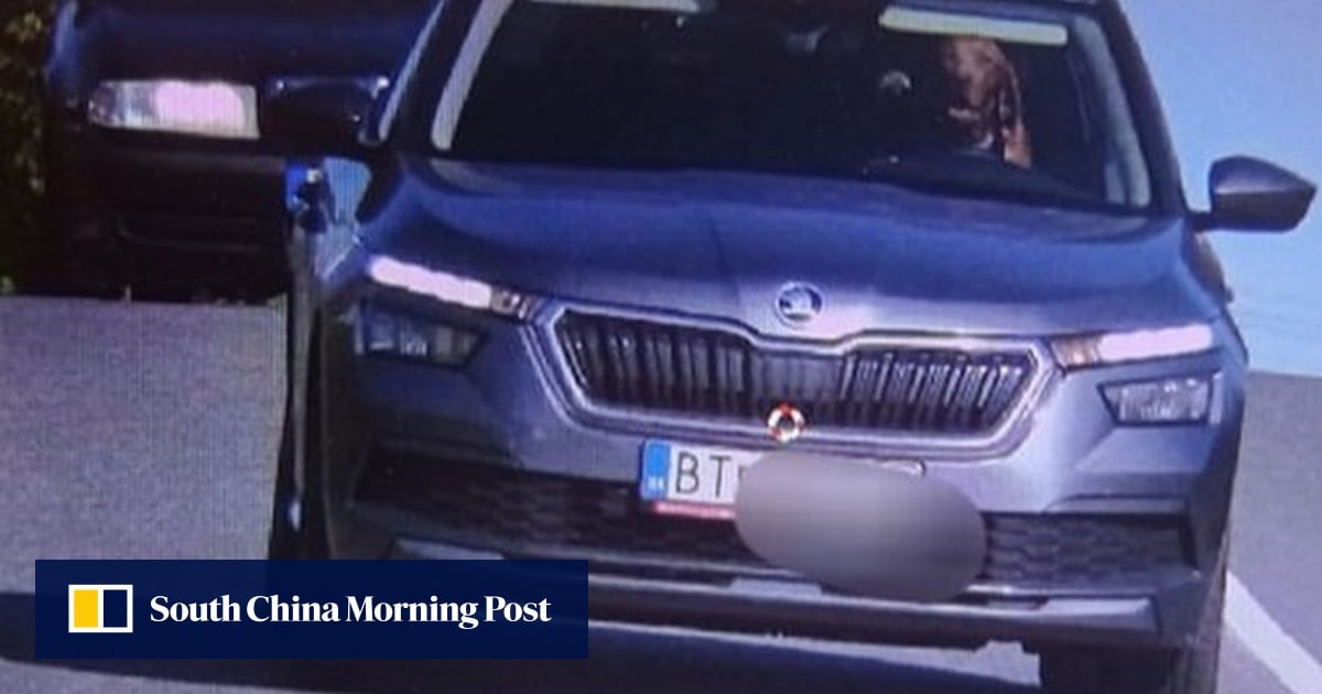 „Pes za volantom“: Slovenská polícia trestá majiteľa auta po tom, čo rýchlostný radar zachytil fotografiu