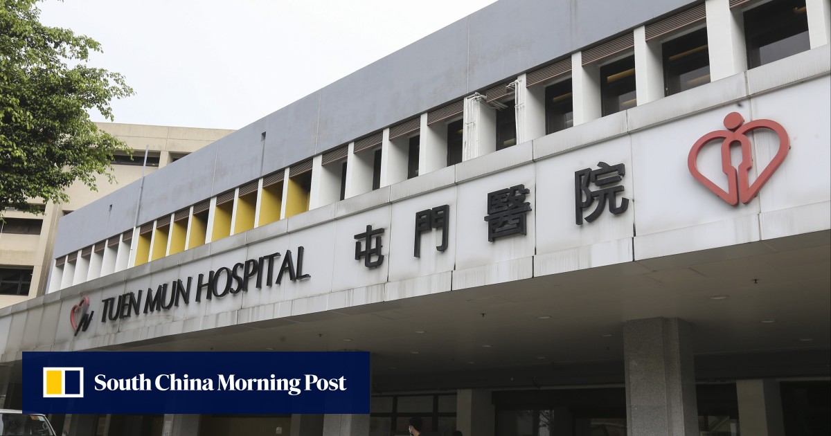 Hong Kong beekeeper dies 2 days after being stung while working at his apiary, second such case in 5 months