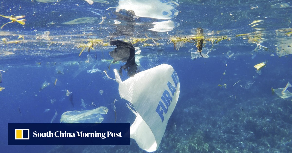 A Plastic Ocean filmmaker Craig Leeson on what drives him to ‘change the world’ through impact films