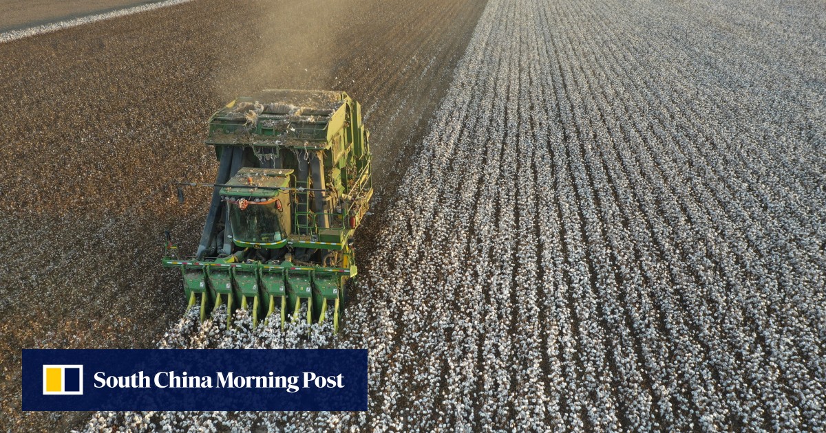 Will China’s wilting cotton output in Xinjiang get a boost from Western satellite imagery?