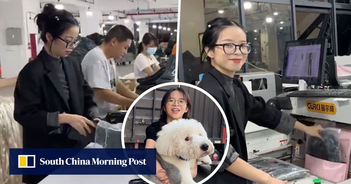 宠物项目：一位不情愿的年轻女子搬进了中国的一家家庭工厂，迅速增加了利润，并通过猫狗政策提高了员工士气。