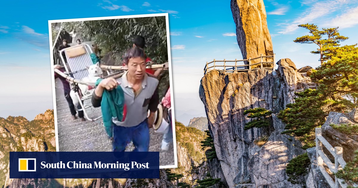 Pampered pooch: woman in China pays US4 to have pet dog carried up mountain in sedan chair while she walks