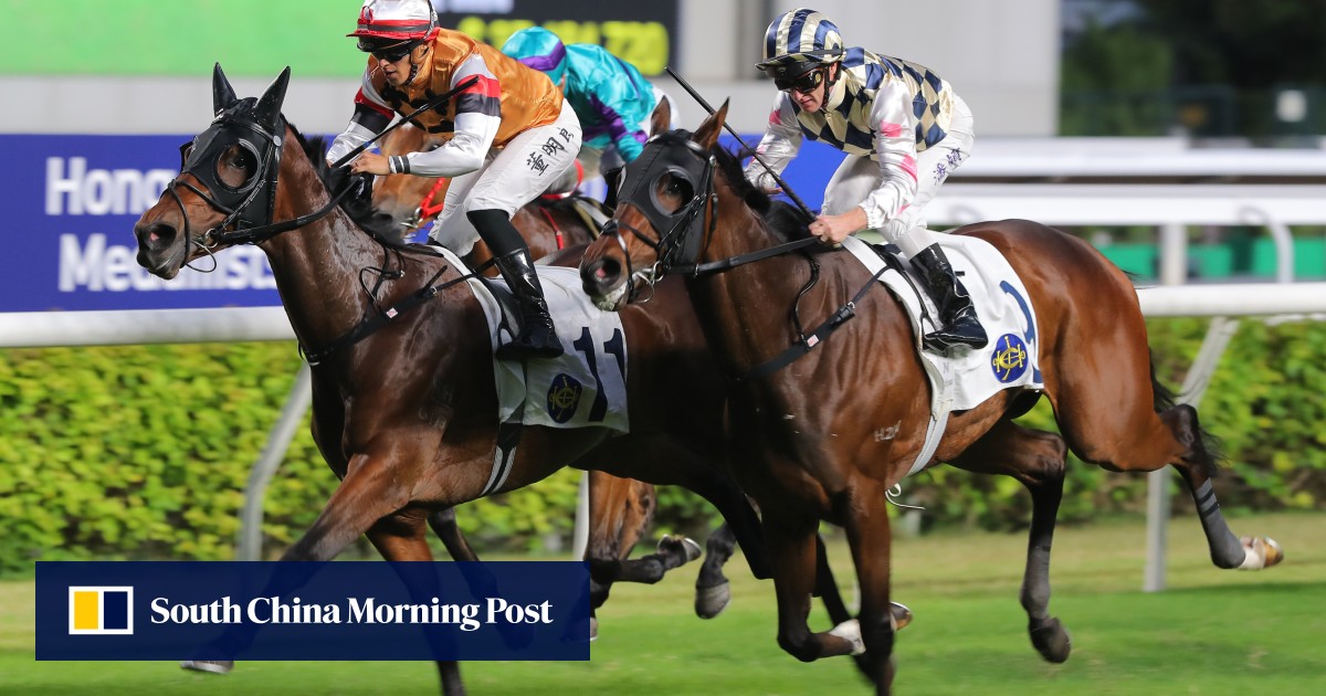 Aazon.co: Panasonic VYK6T25 Cup - Eye