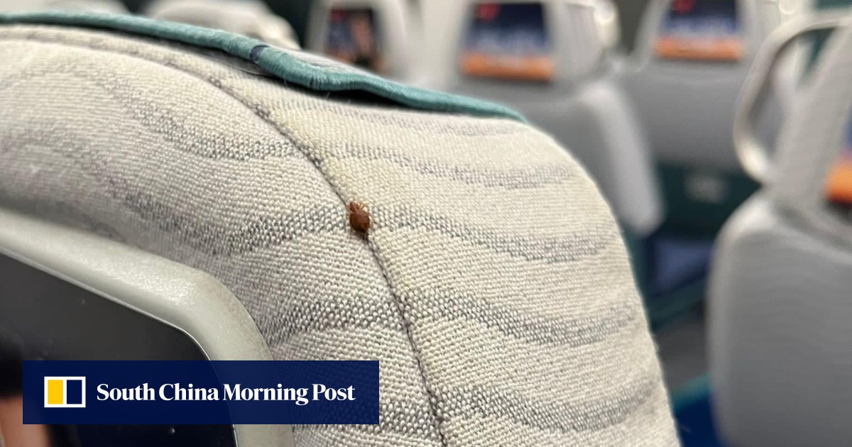 Hong kong lawmakers call for more precautions to avoid spread of bedbugs