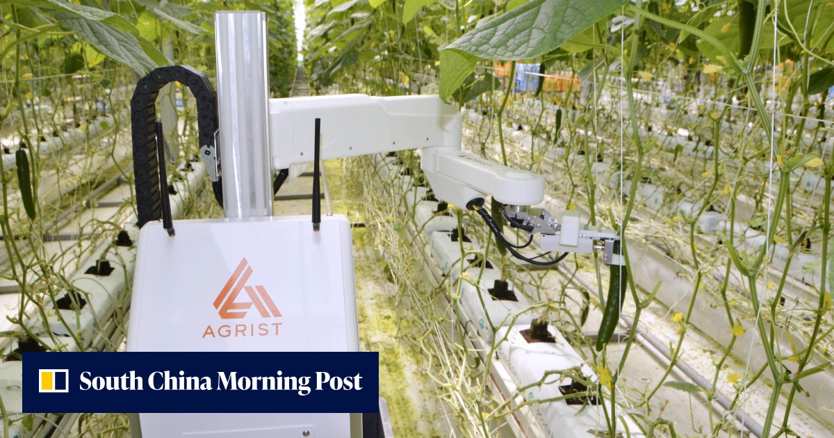 Japan farms look to AI-powered robots as potential answer to manpower ...
