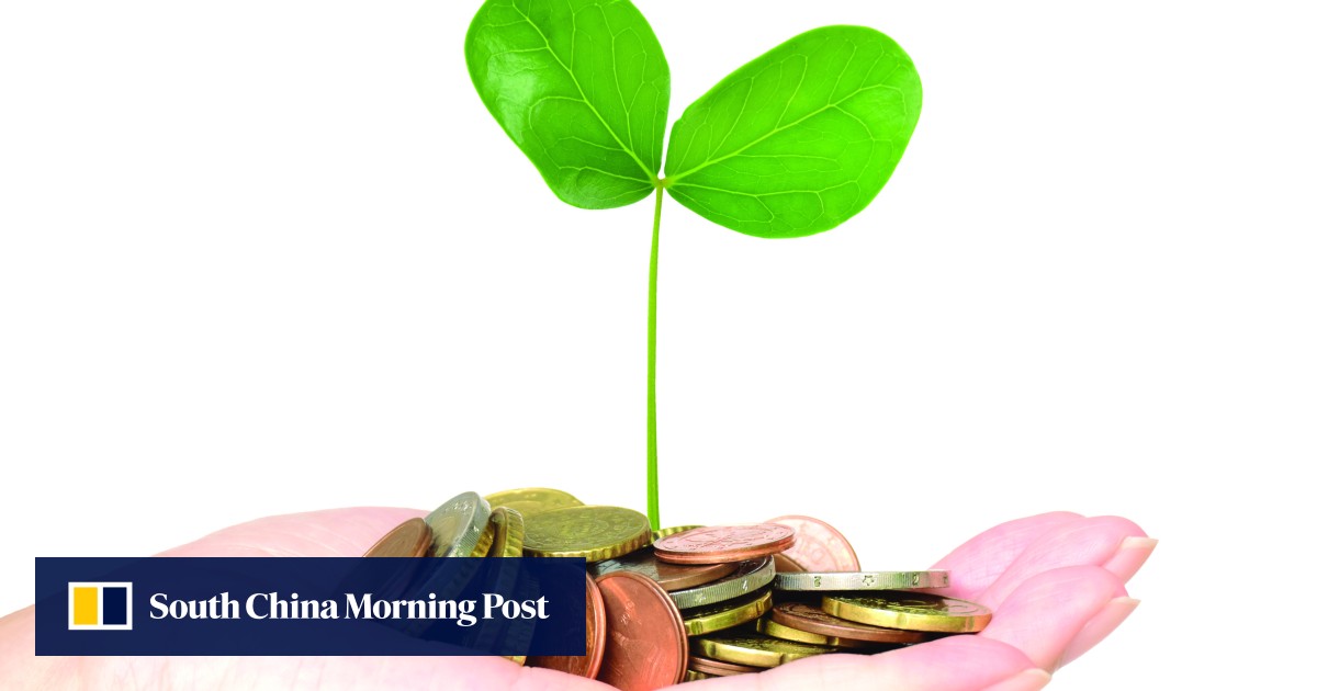 Chinese Policy Banks Shut Out Green Energy Despite President Xi Jinping Chinese Policy Banks Shut Out Green Energy Despite President Xi Jinping