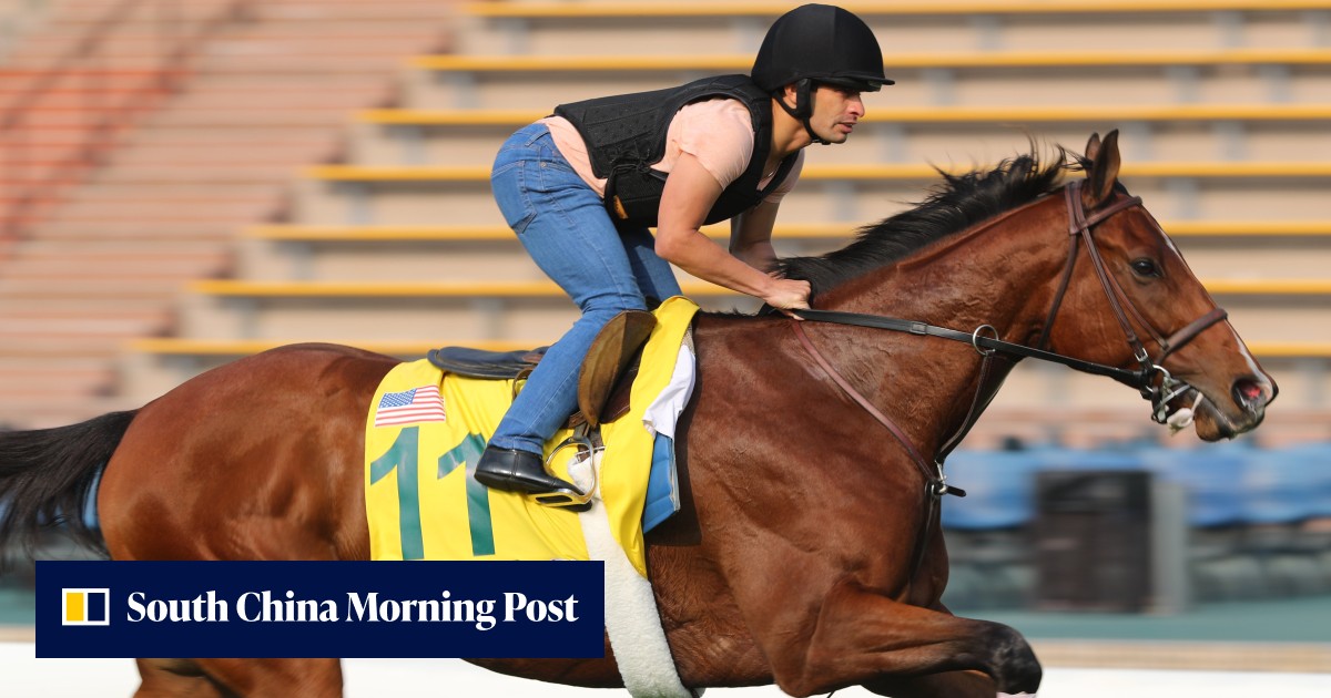 Soldier Rising adds American flavour to Hong Kong International Races ...