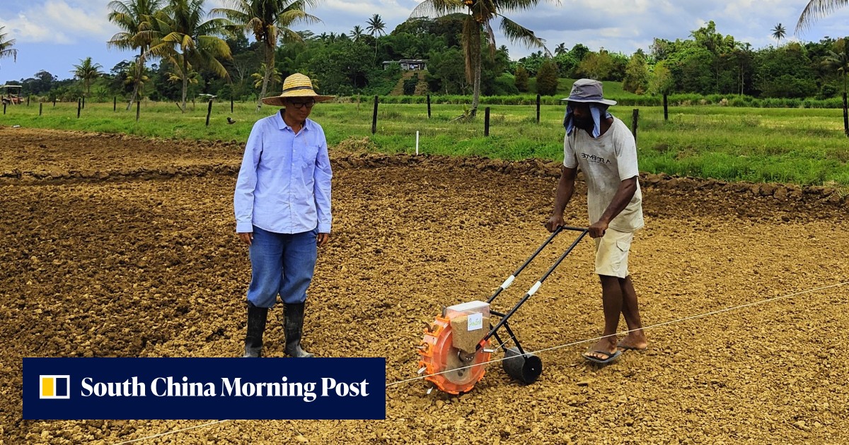 With China’s help, Fiji eyes rice self-sufficiency within 20 years ...