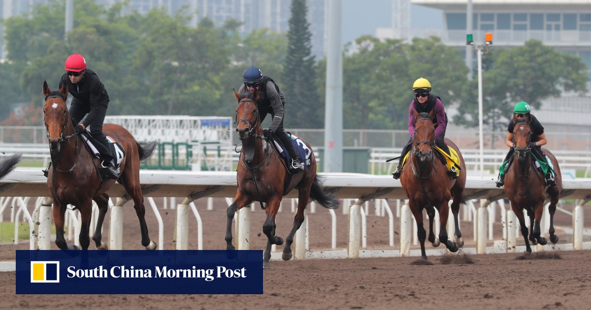 Team O’Brien ‘very happy’ with four-strong Hong Kong International Races contingent