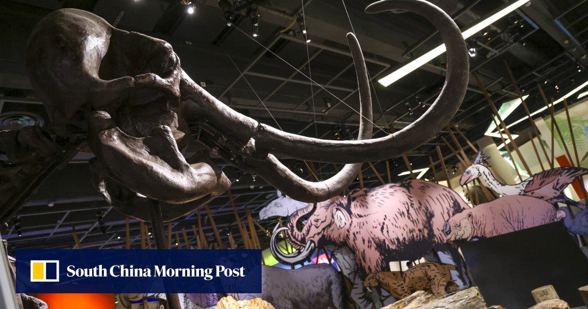 Hong Kong Science Museum better off relocating for expansion, with