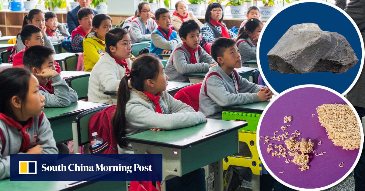 ‘Don’t be crispy quick noodles’: China instructor drives house anti-bullying information with rock moral story to course
