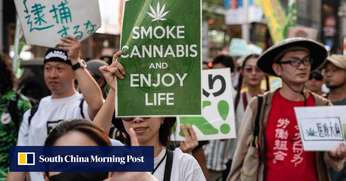 Japan to legalise medical use of cannabis, revising stringent drug laws, but toughens ban on recreational marijuana use