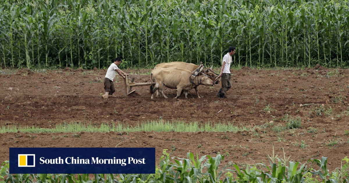 How to get disappeared in North Korea: complain about life, insult the money, miss your parents
