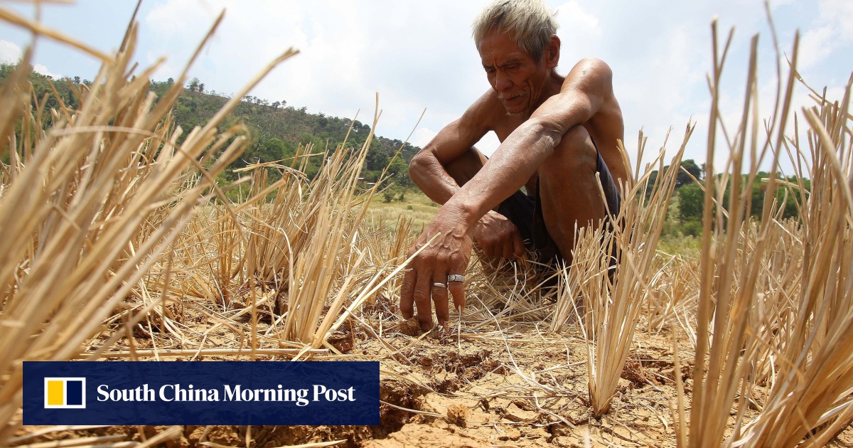 Philippines braces for ‘severe’ drought after fewest major storms for 25 years in 2023