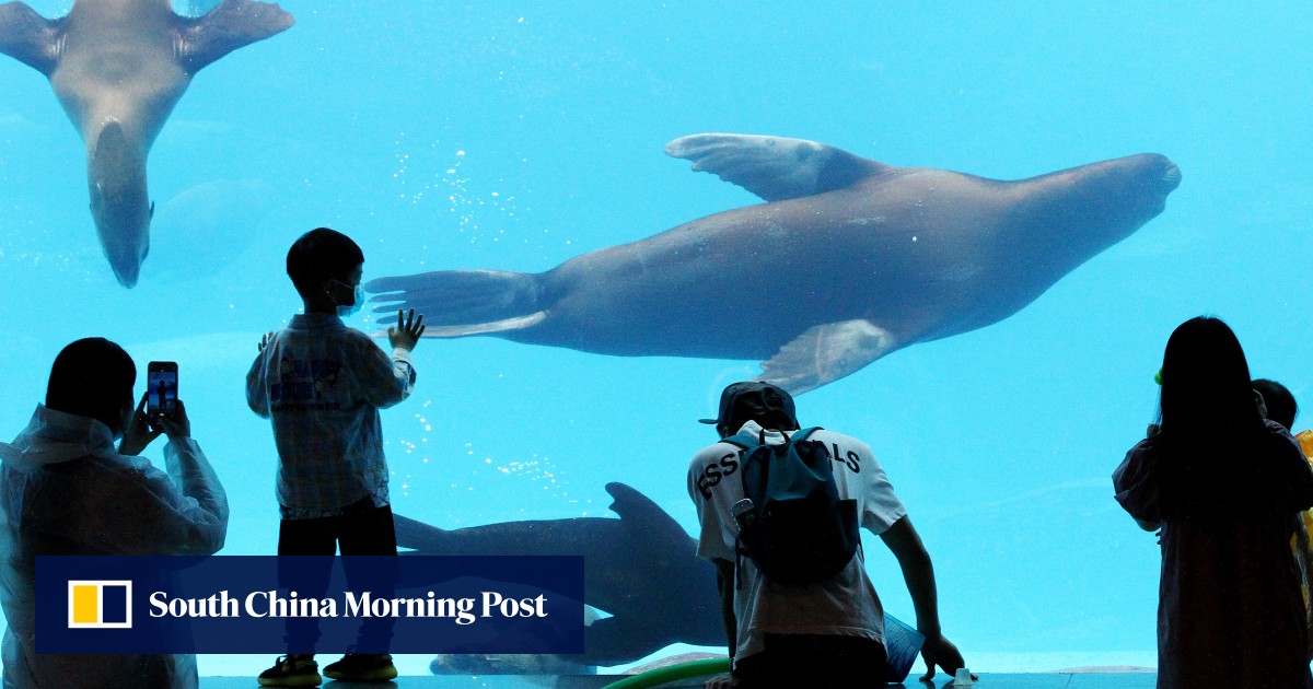 China’s Haichang Ocean Park gets support from Saudi Arabia’s Tourism Development Fund to build marine themed park in kingdom