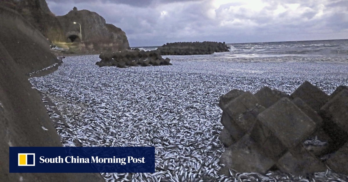 日本、魚の大量死と福島の水との関連性を指摘する英国の「刺激的な」タブロイド紙報道を非難