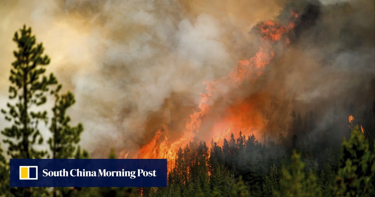 Chinese experts call for accountability over wildfire emissions, but US scientist says blame game ‘makes no sense’