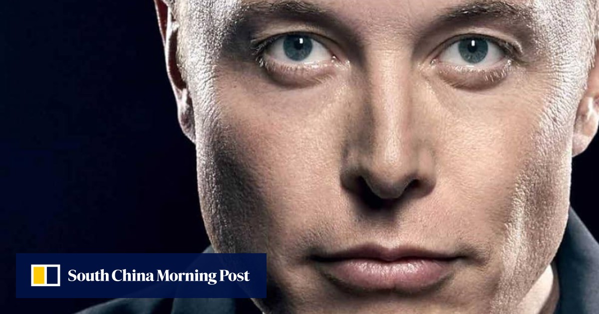 Best books of 2023 – with a twist – from Elon Musk biography and Prince Harry’s Spare to Hong Kong poetry