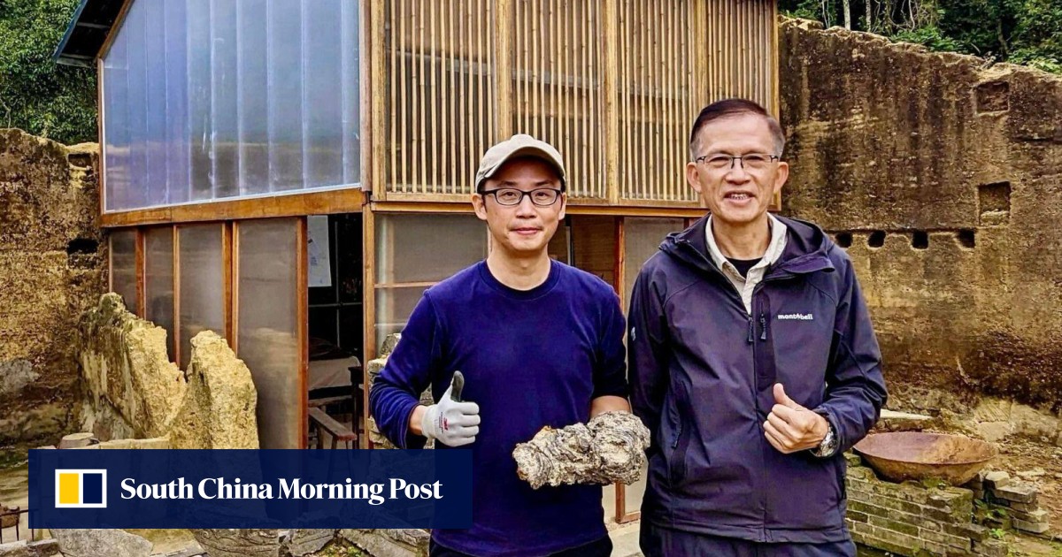 360-year-old abandoned Hong Kong Hakka village is born again – the award-winning revitalisation of Mui Tsz Lam