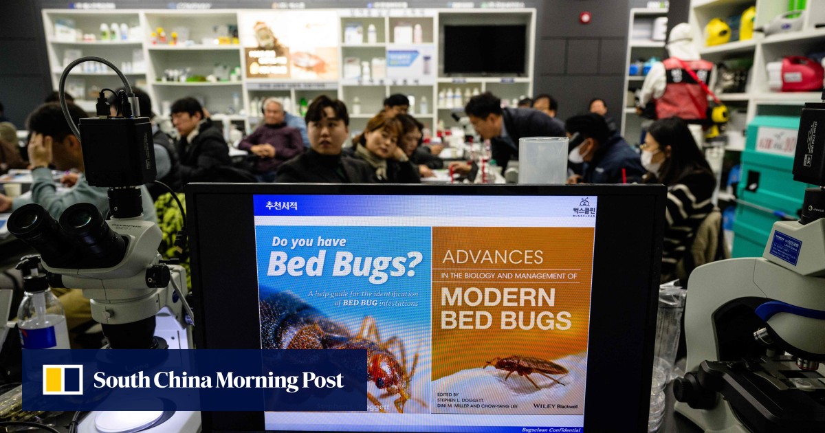 Bedbug consultations surge in Tokyo, Osaka as infestations spread