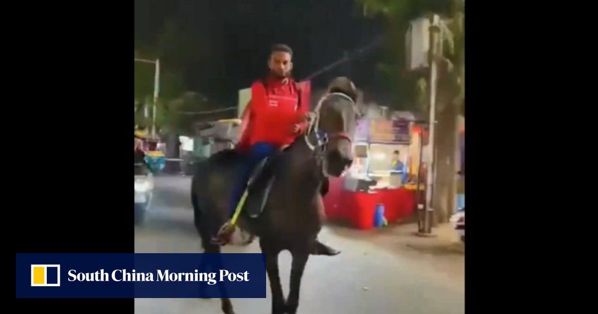 Indian courier delivers food on horseback after waiting 3 hours for petrol amid fuel crisis