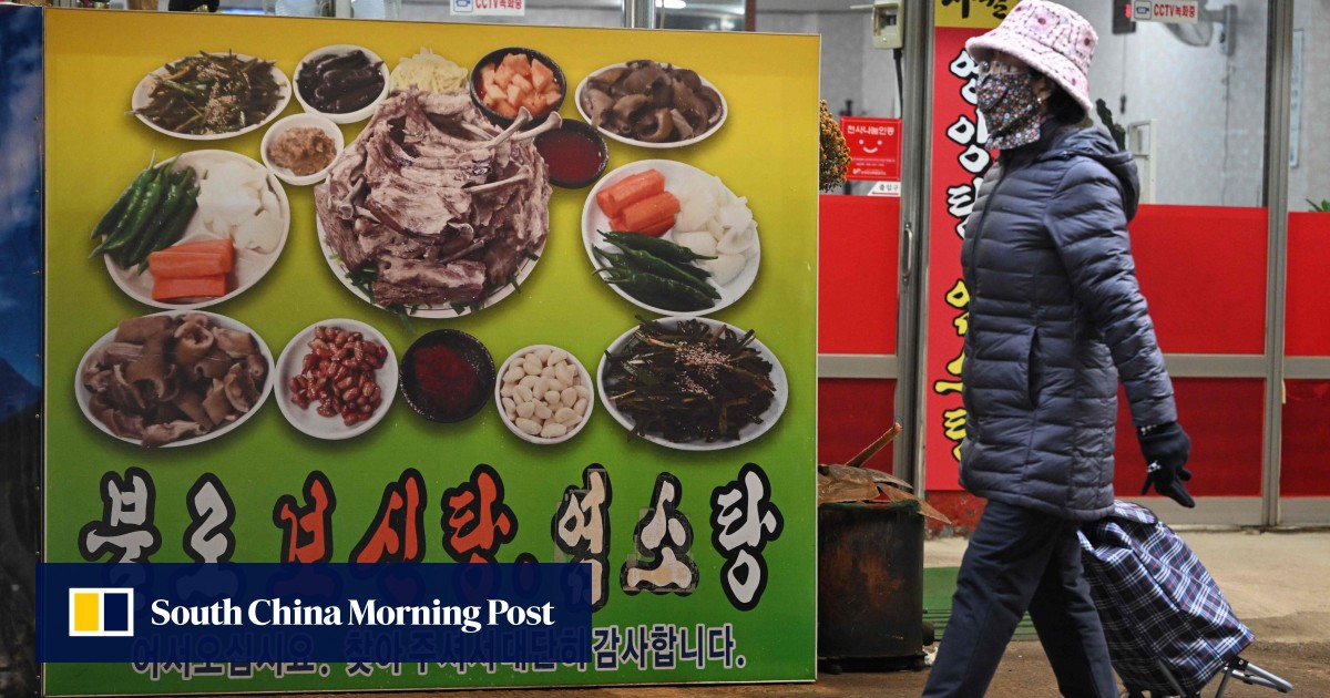 South Korea’s dog meat ban opposed by vendors, customers: ‘cows are living animals too’