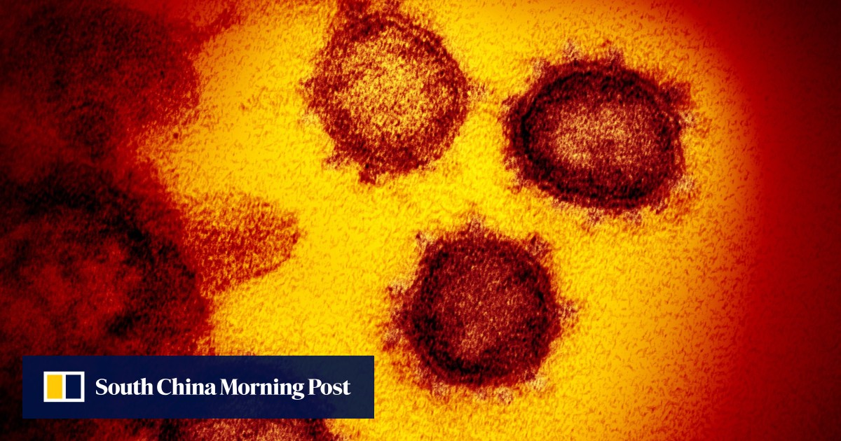 Nearly 10,000 died from Covid-19 last month, fuelled by gatherings and new variant, WHO says