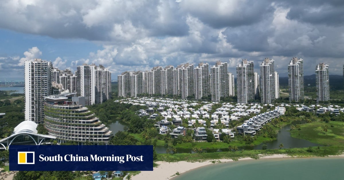 马来西亚寻求重振中国支持的森林城市大型项目——别管流浪狗、鳄鱼和白天喝酒的人 马来西亚寻求重振中国支持的森林城市大型项目——别管流浪狗、鳄鱼和白天喝酒的人