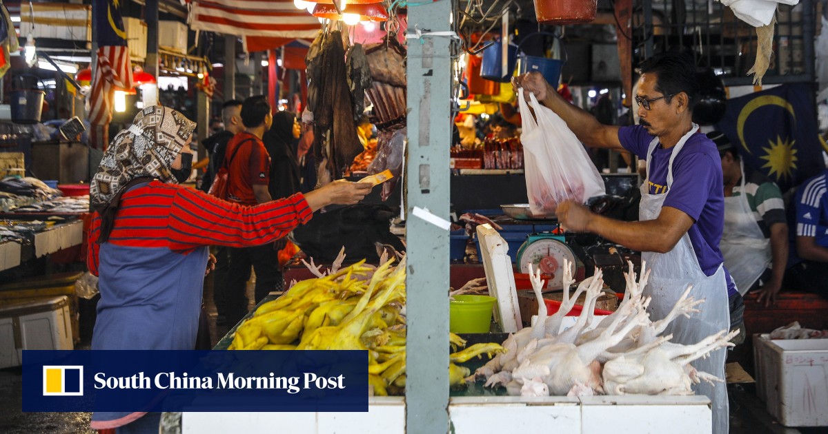 马来西亚实施价格限制，以保证农历新年买得起鸡：“绰绰有余”