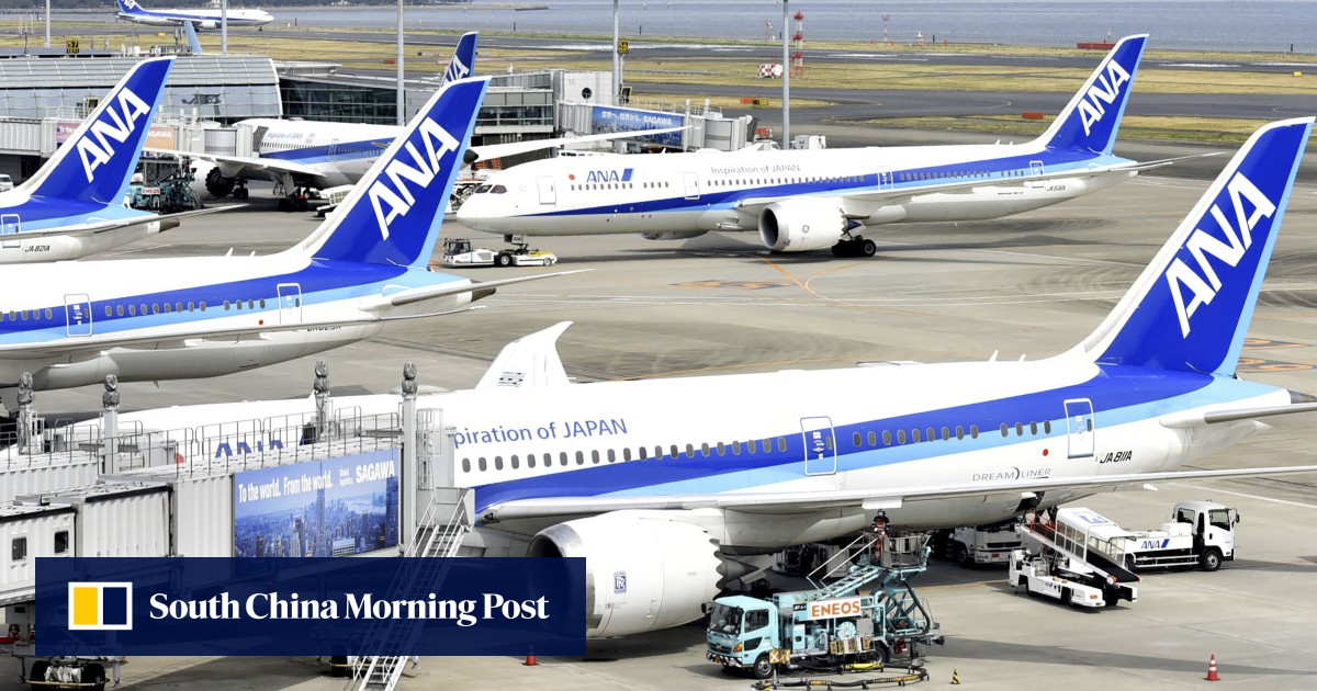 US-bound ANA plane returns to Tokyo after ‘heavily drunk’ passenger bites crew member