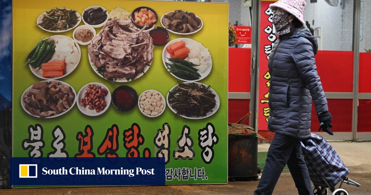 South Korea faces pressure to save dogs, compensate breeders as it winds down meat trade