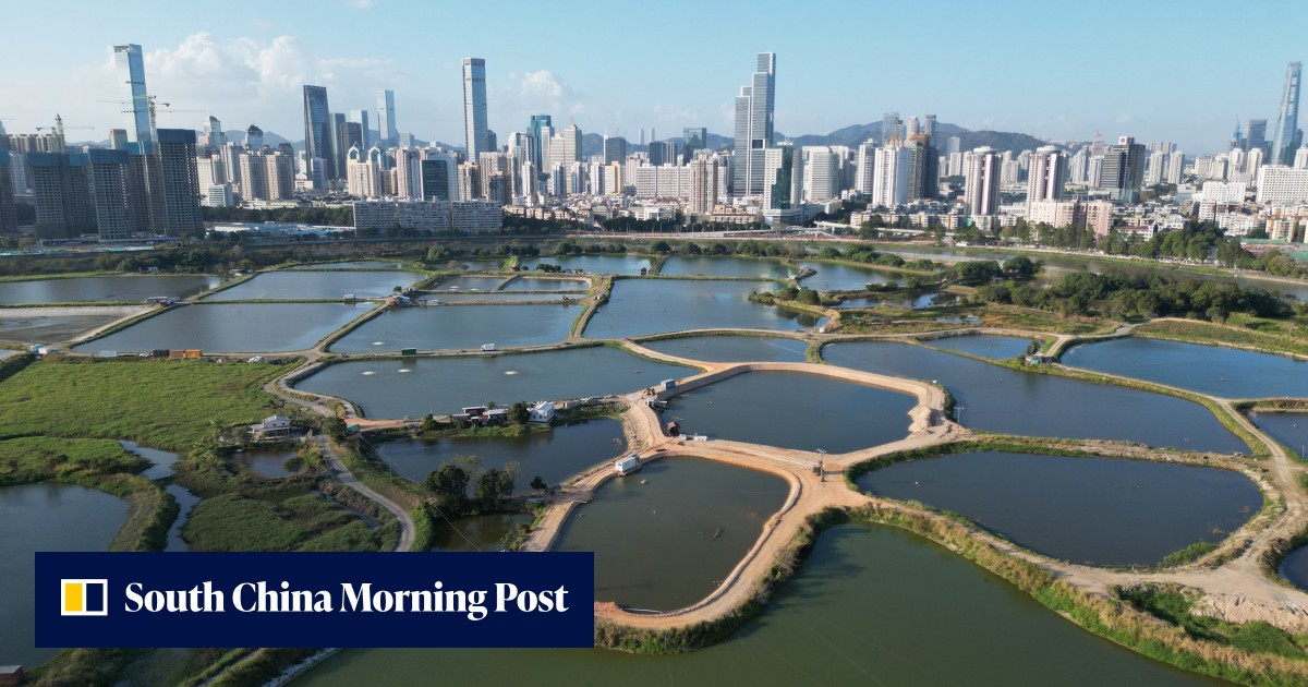 Extensive damage found in Hong Kong wetlands earmarked for conservation ...