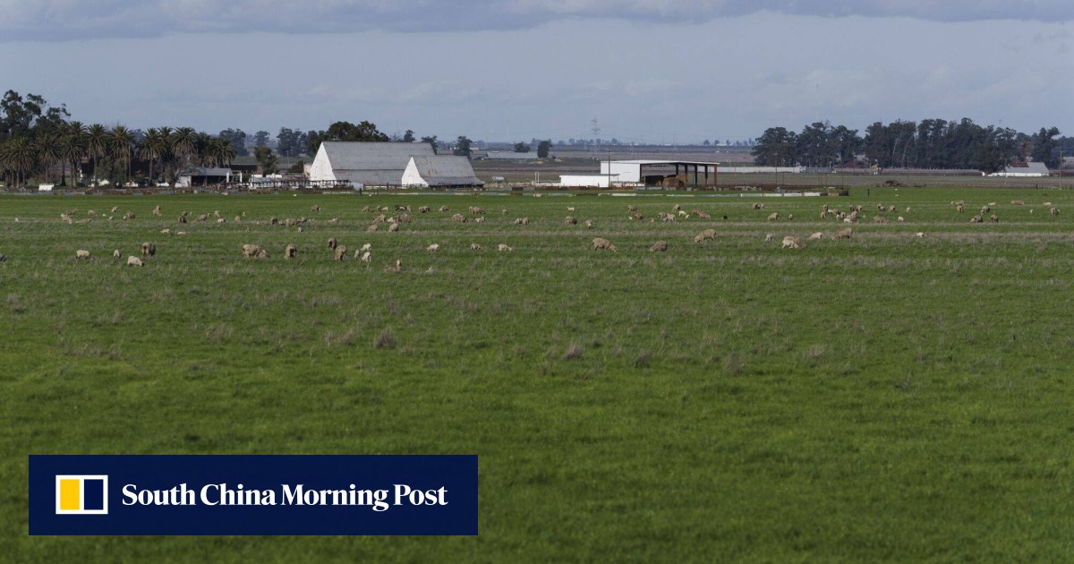 More Chinese buyers snapping up US farmland, but how much is not clear