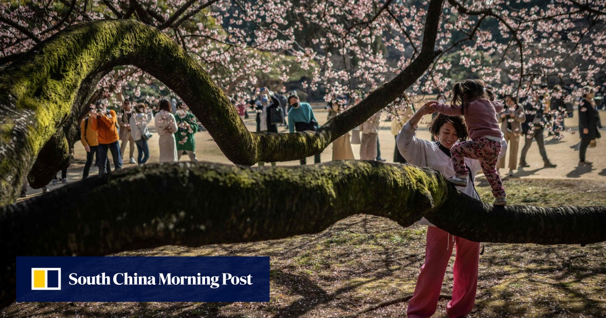 As Japan grapples with low birth rates, demand for Tokyo’s US,000 fertility subsidies goes through the roof