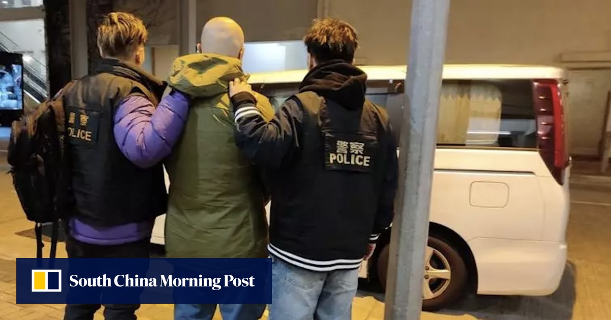 Hong Kong police arrest suspected triad member, girlfriend’s 10-year-old son over splattering red paint on Tseung Kwan O flat
