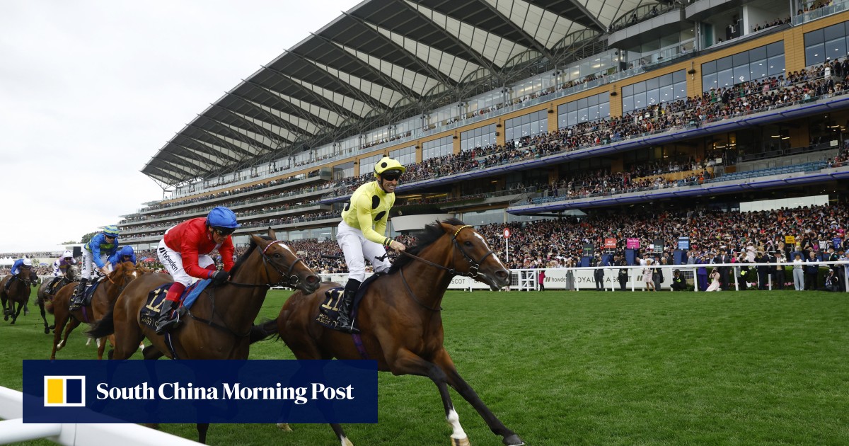 Hong Kong Jockey Club simulcast results | HK Racing | South China ...