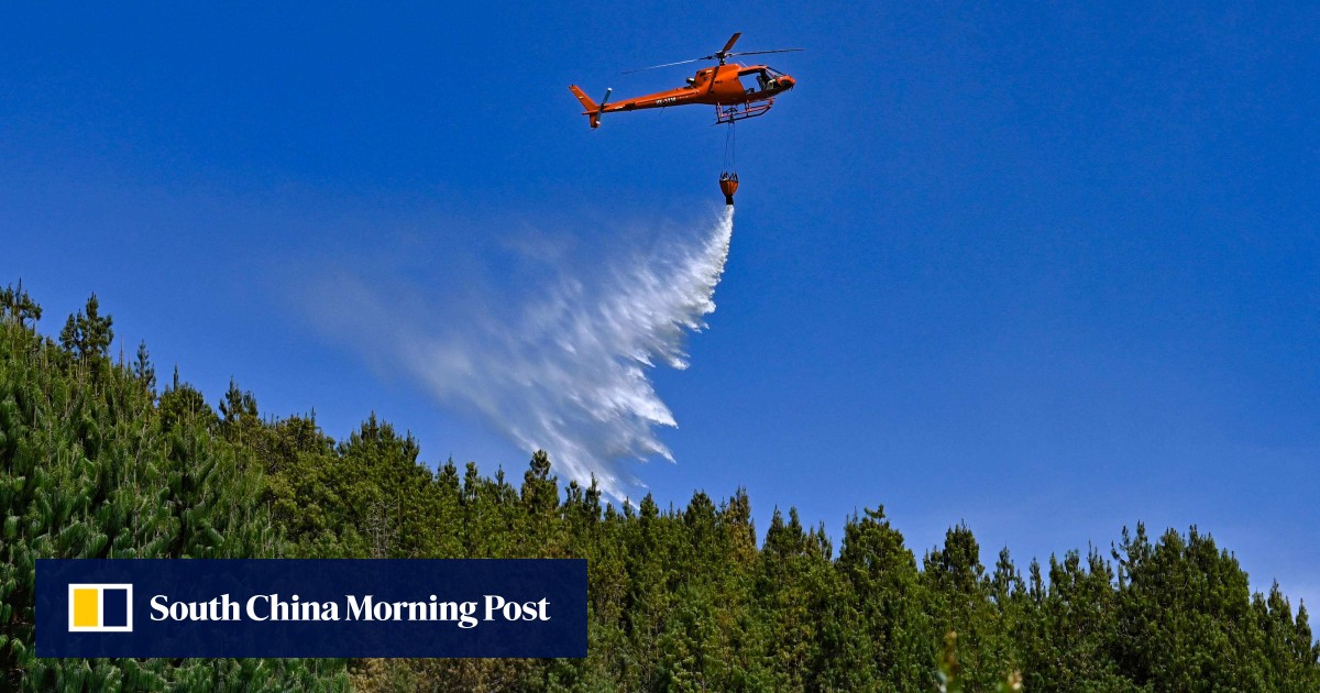 Over 17,000 hectares in Colombia destroyed by forest fires in hottest January for decades