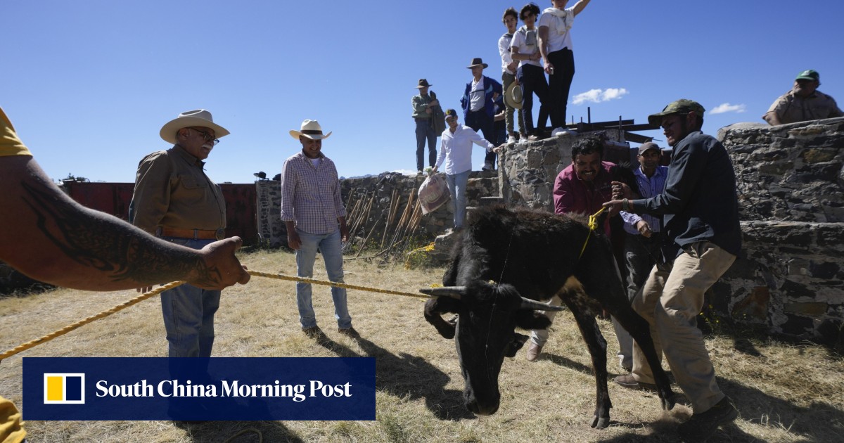 Bullfighting set to return to Mexico City amid legal battle between fans and animal rights defenders