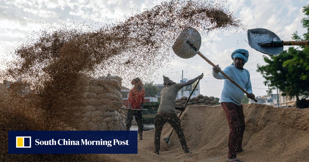 Global rice shortage looms as top exporter India’s supply woes worsen amid Red Sea attacks