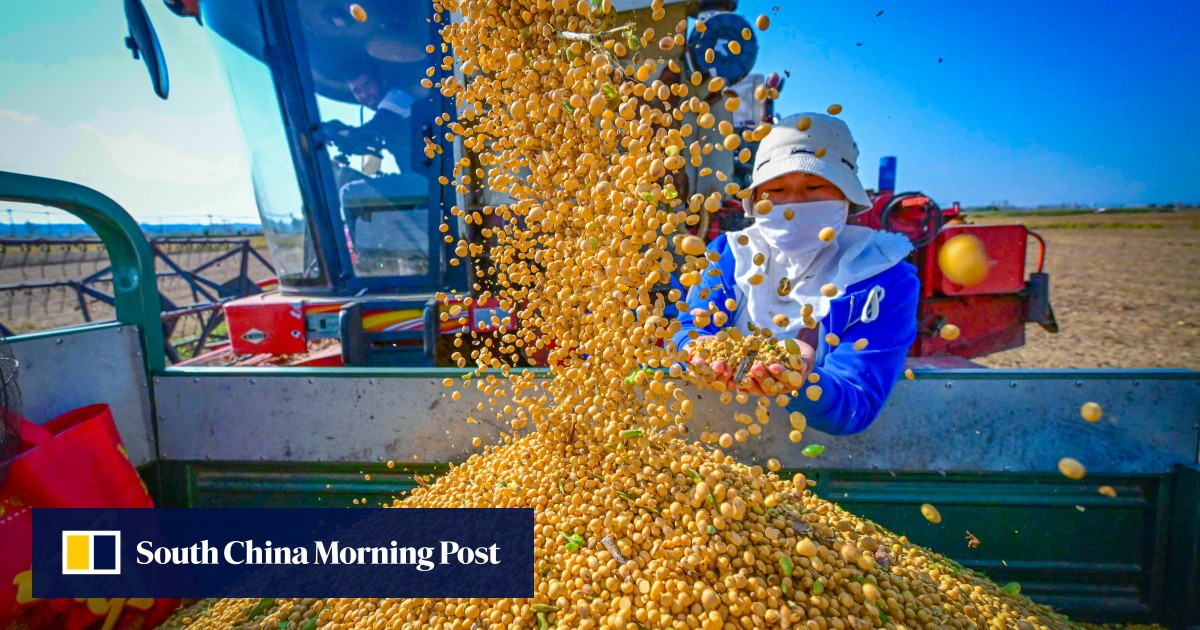 中国承诺加强可再生粮食安全领域的农业生产和种子研究并推进技术自力更生